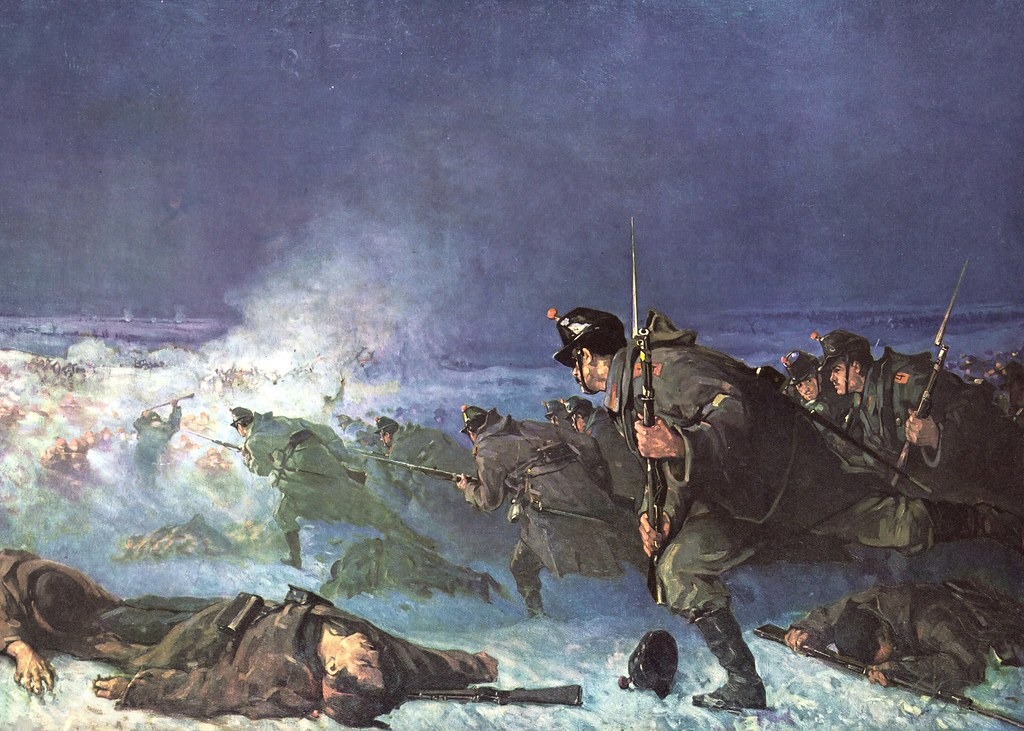 DRUMUL SPRE VIDIN - Epopeea uitată a armatei române în iarna lui 1877–1878