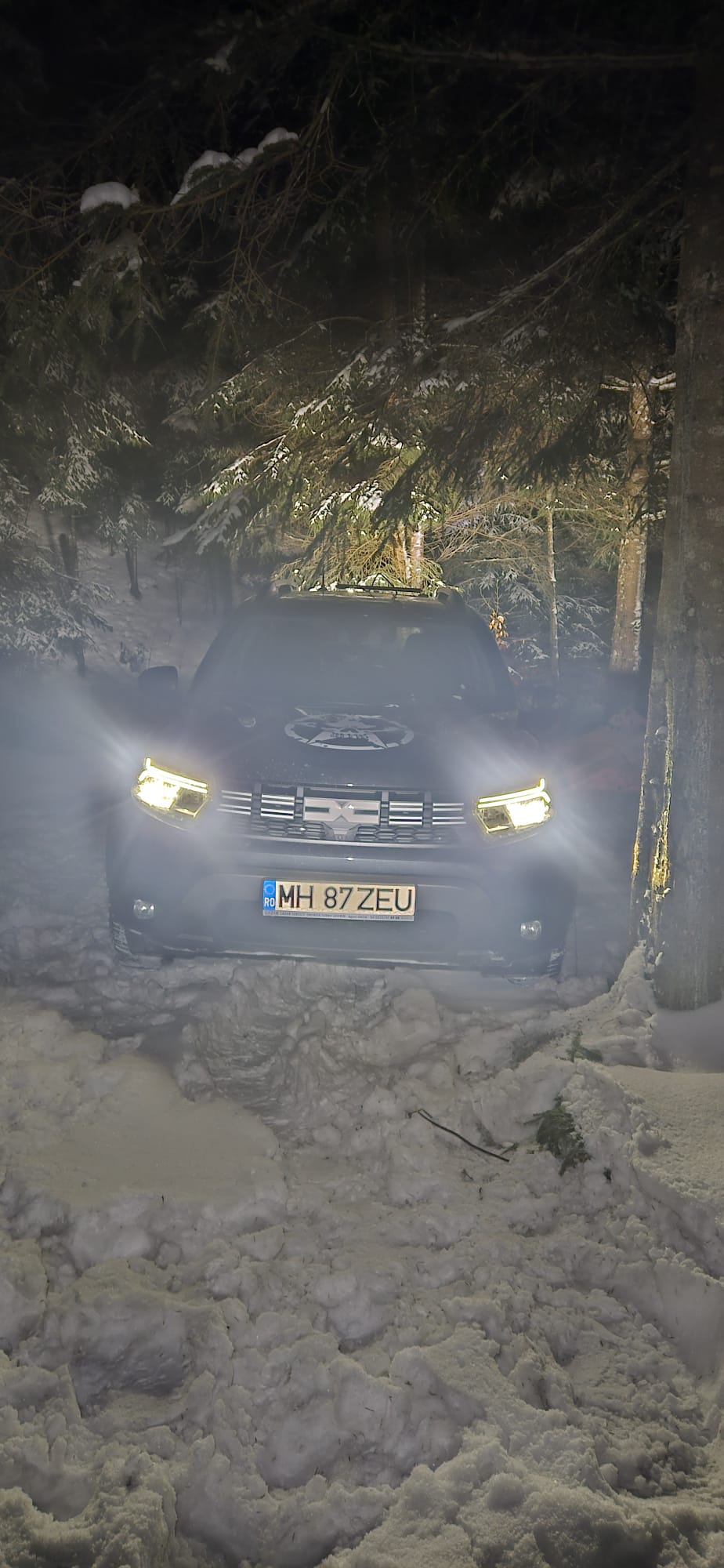 'Testul de Iarnă în Poiana Magică' de Mihai Cosca