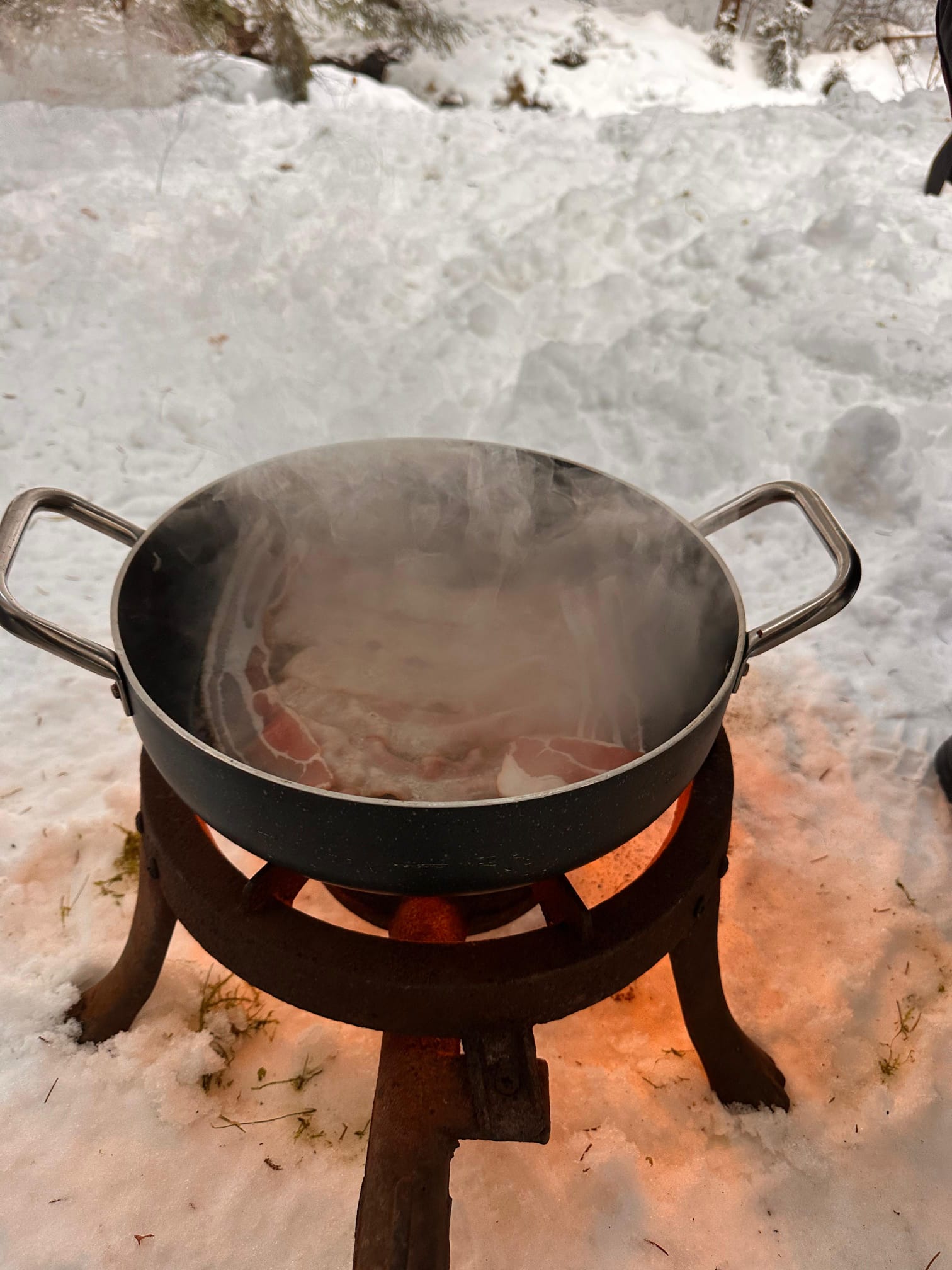 'Testul de Iarnă în Poiana Magică' de Mihai Cosca