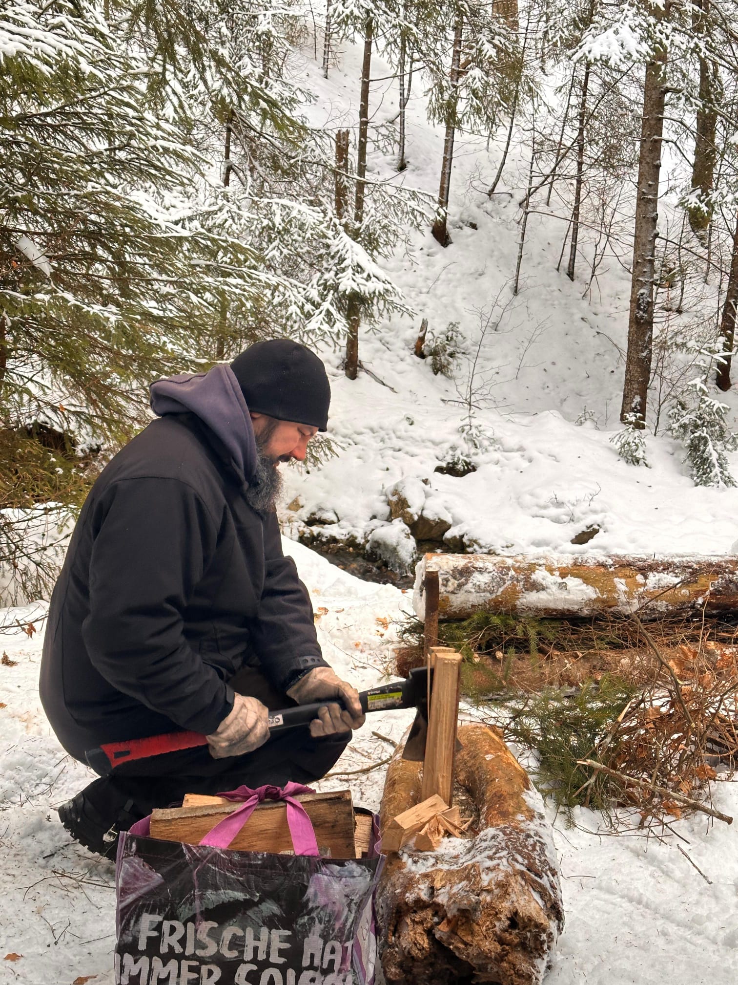 'Testul de Iarnă în Poiana Magică' de Mihai Cosca