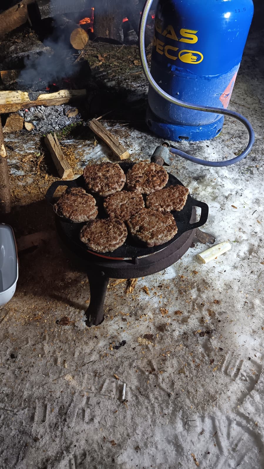 'Testul de Iarnă în Poiana Magică' de Mihai Cosca