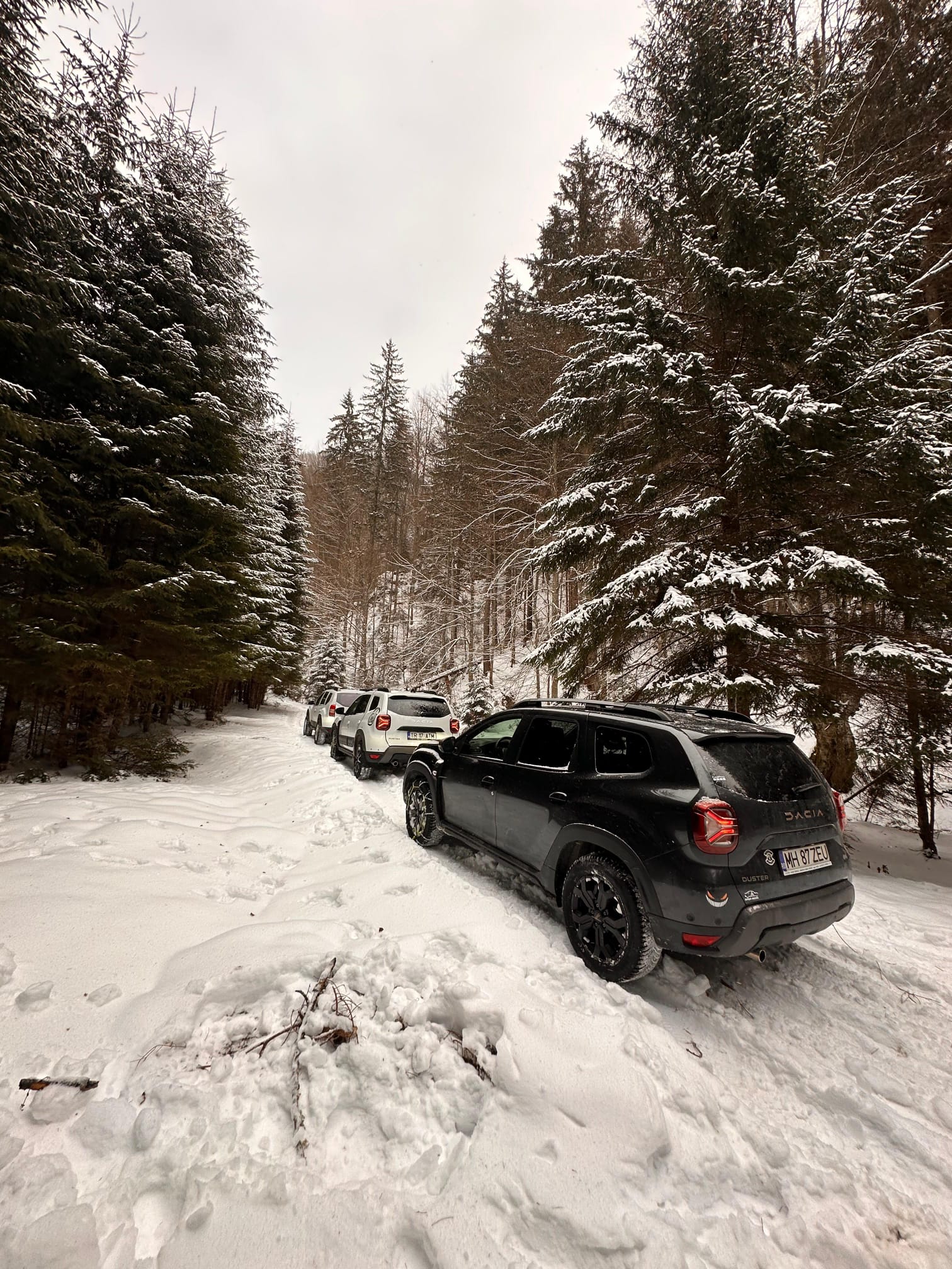 'Testul de Iarnă în Poiana Magică' de Mihai Cosca