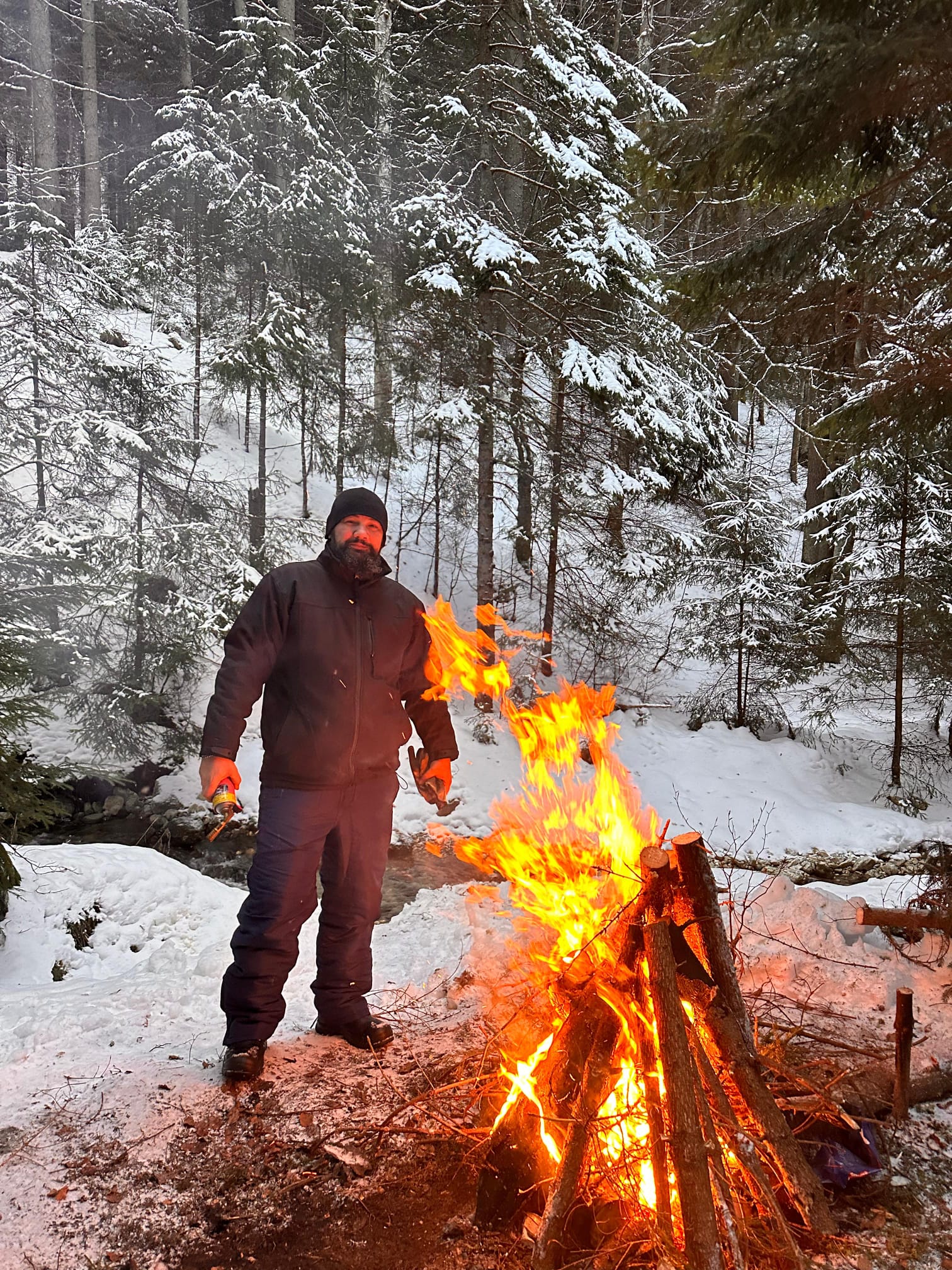 'Testul de Iarnă în Poiana Magică' de Mihai Cosca