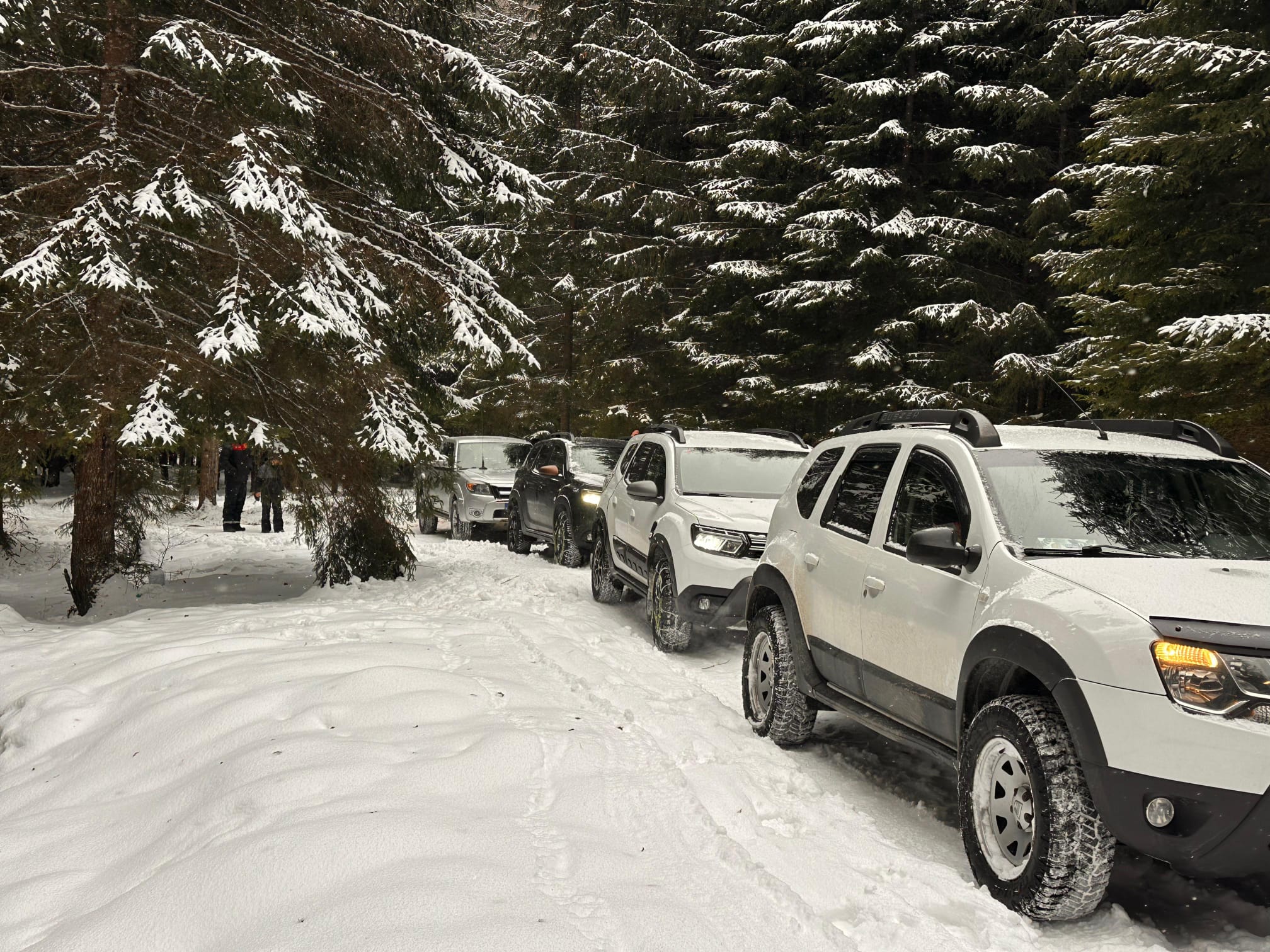 'Testul de Iarnă în Poiana Magică' de Mihai Cosca