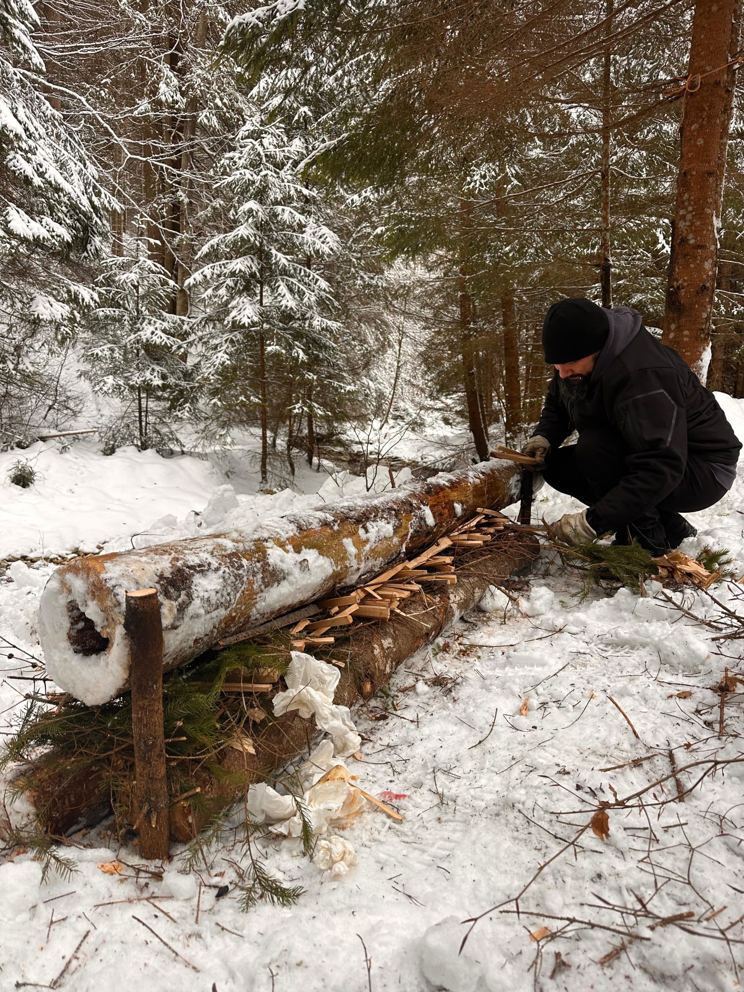 'Testul de Iarnă în Poiana Magică' de Mihai Cosca