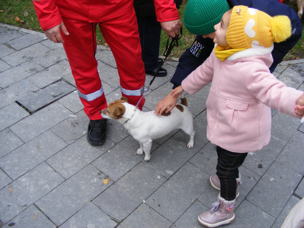 1 Decembrie 2025 la Craiova