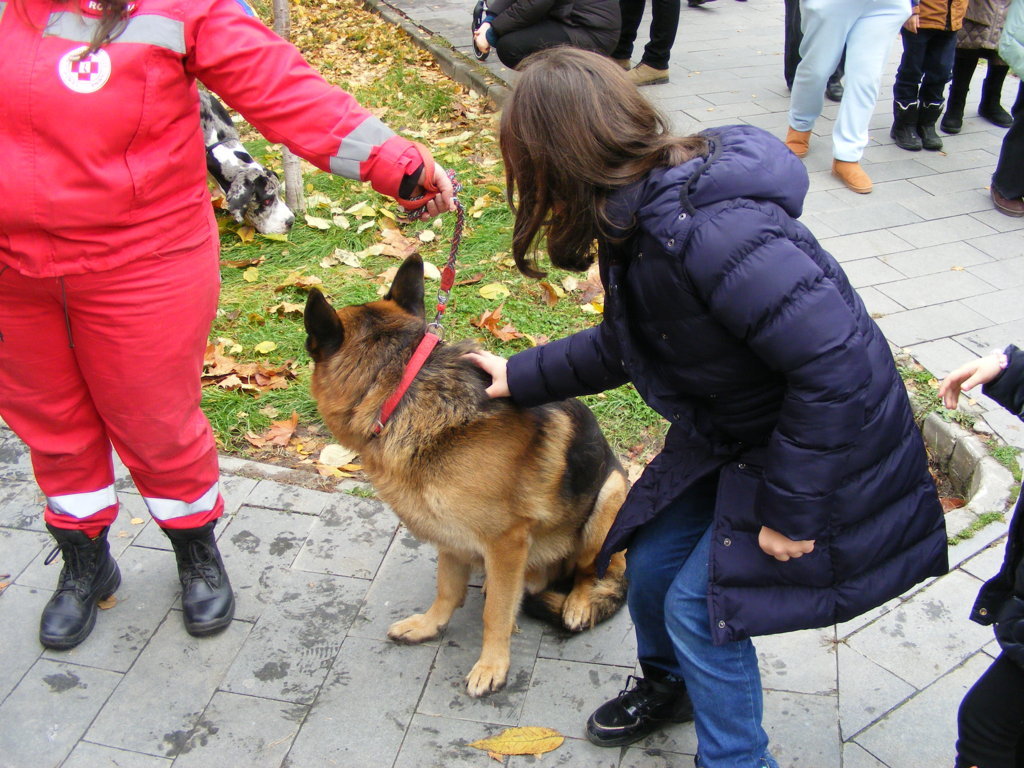 1 Decembrie 2025 la Craiova