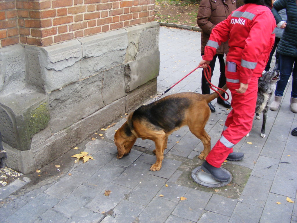 1 Decembrie 2025 la Craiova