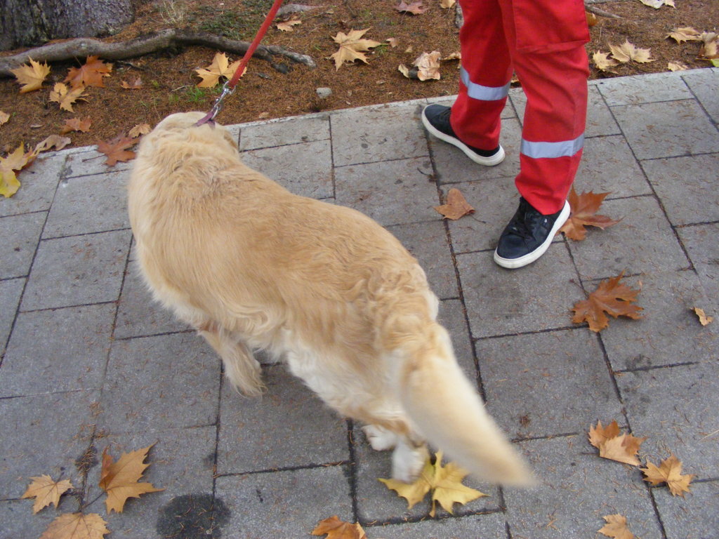 1 Decembrie 2025 la Craiova