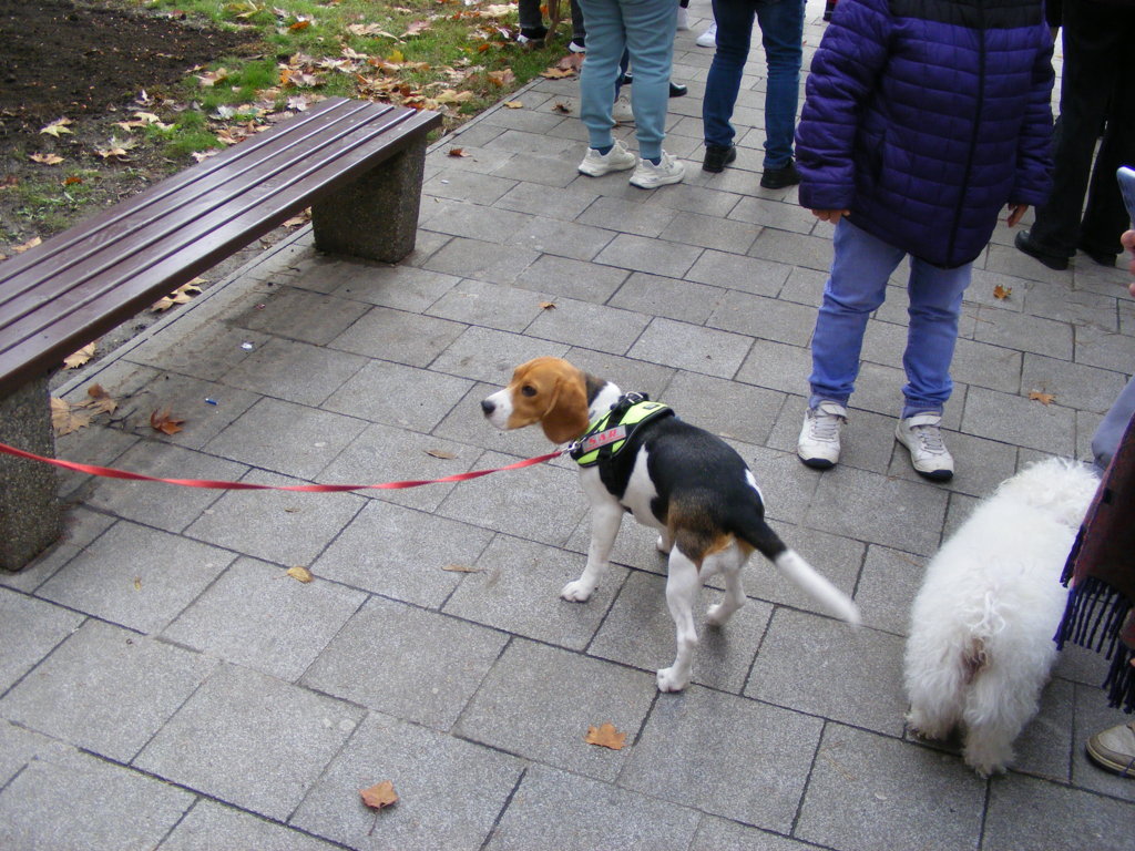 1 Decembrie 2025 la Craiova