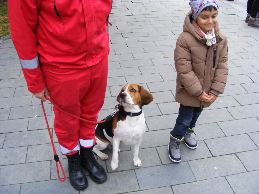 1 Decembrie 2025 la Craiova