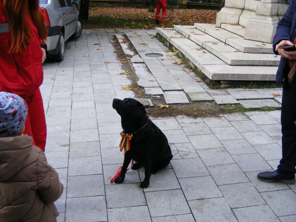 1 Decembrie 2025 la Craiova